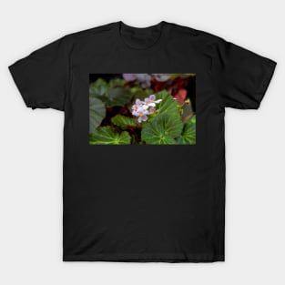 springtime T-Shirt